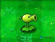 植物大战僵尸随机版