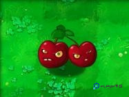 植物大战僵尸随机版