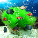 水族馆动态壁纸(桌面屏保)汉化版下载v5.3
