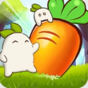 暖心小院子官方正版下载v1.0.1