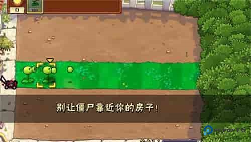 植物大战僵尸TEN版下载v1.1.1