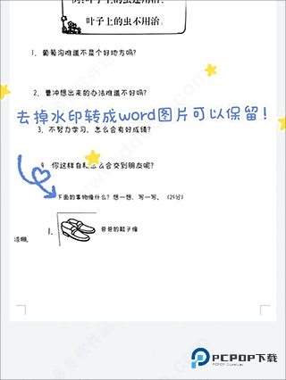 蜜蜂试卷官方正版