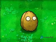 植物大战僵尸随机版