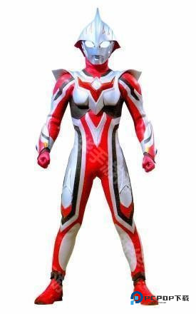 形态有哪些截图4