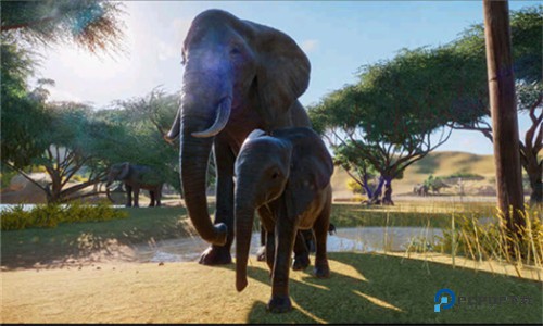 动物园之星官方正版下载v1.8