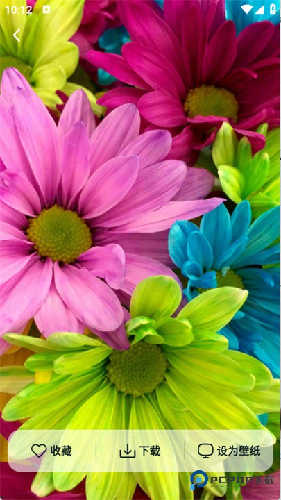 跃动壁纸手机版v1.6.0