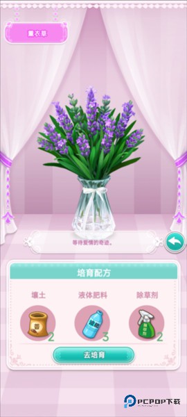 鲜花小镇官方正版