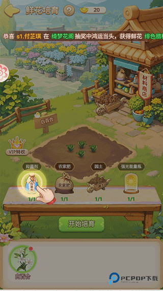 我的花园世界完整版