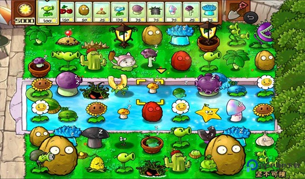 植物大战僵尸随机植物版v1.1.5