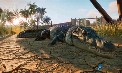 动物园之星官方正版下载v1.8