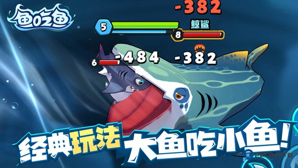 鱼吃鱼国际服v1.1.5