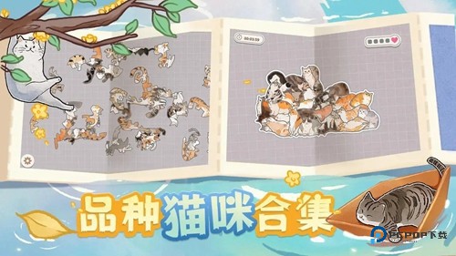 挤在一起的猫猫手机版v1.0