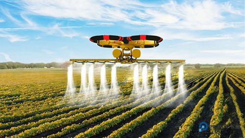 一点都不迷你的农场官方正版v1.1.1