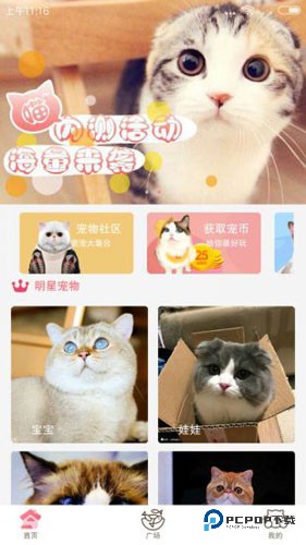 猫咪社区免费APP图片