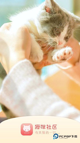 猫咪社区免费APP截图4