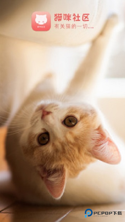 猫咪社区(Catmunity)官方正版下载