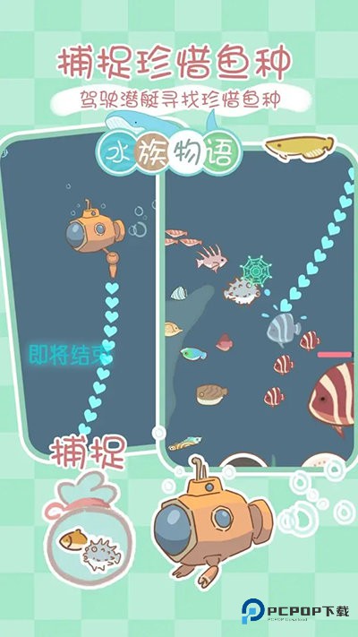 水族物语官方正版v5.73