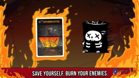 爆炸小猫2图片12