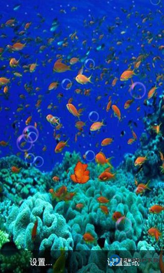 水族馆动态壁纸(桌面屏保)汉化版下载v5.3