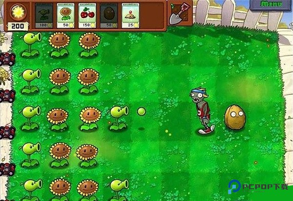 植物大战僵尸2010中文版