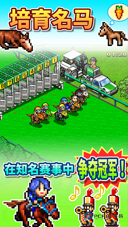 顶级跑马牧场