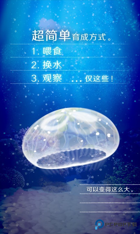 养育水母的治愈