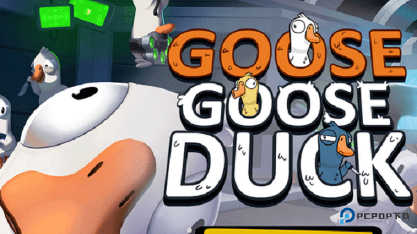goose goose duck
