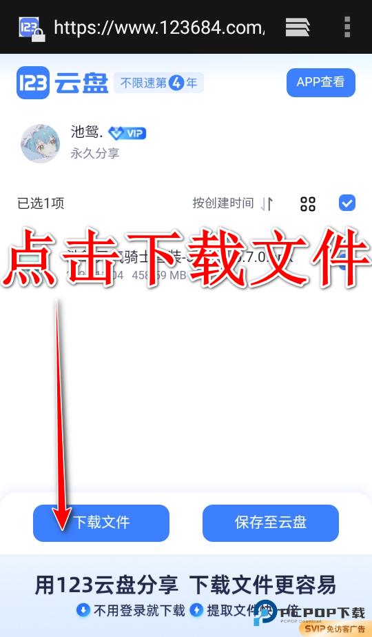 池鸳启动插件
