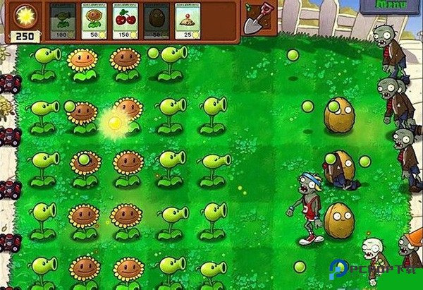 植物大战僵尸2010中文版