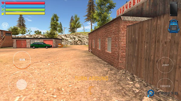 俄罗斯汽车司机