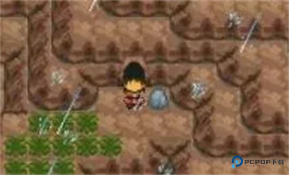 口袋妖怪白金光2汉化版