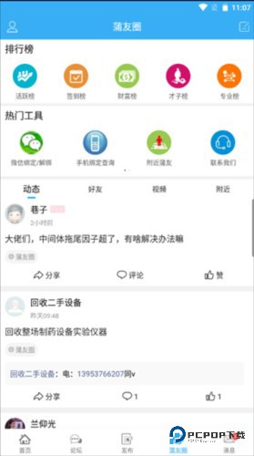 蒲公英5