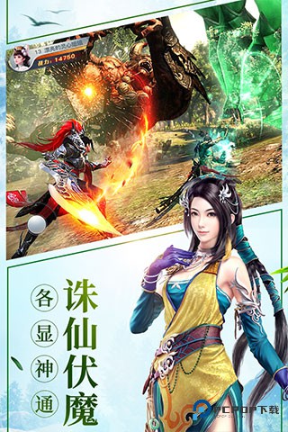 龙武