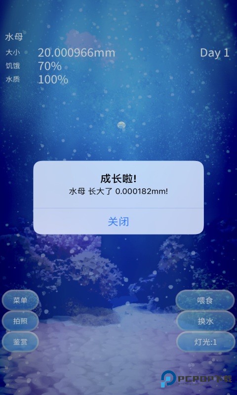 养育水母的治愈