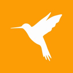 小黄鸟抓包软件