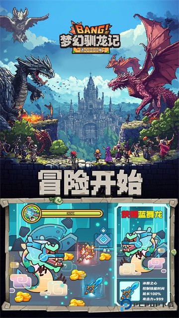 梦幻驯龙记