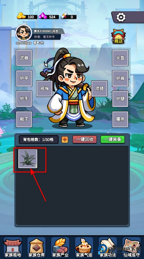 家族崛起与传承游戏