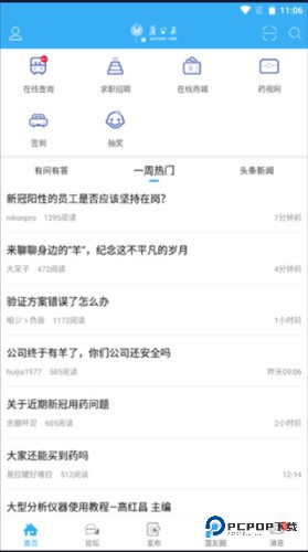 蒲公英3