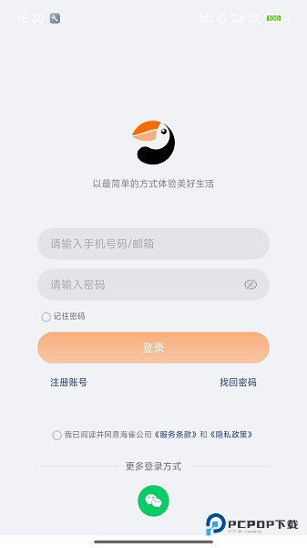 海雀