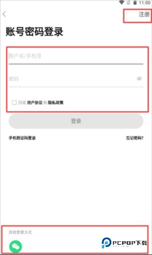 蒲公英2