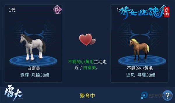 倩女幽魂手游最新版