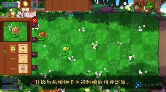 植物大战僵尸共生版2.0