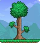 泰拉瑞亚中文版免费下载最新版