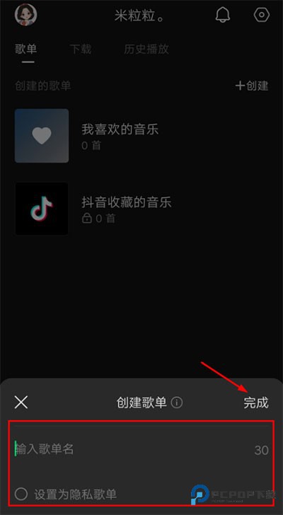 汽水音乐最新版本