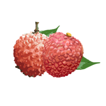 增城泊车2026升级版下载