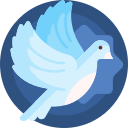 白鸽软件库下载app官方正版v1.0