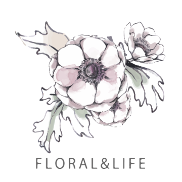 花田小憩2026升级版下载