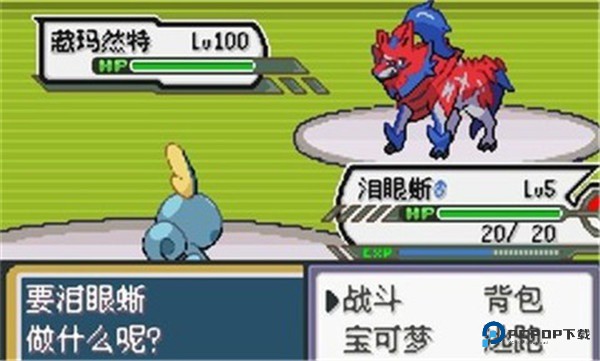 精灵宝可梦剑盾