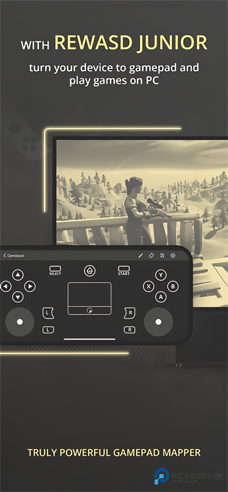 reWASD手机版