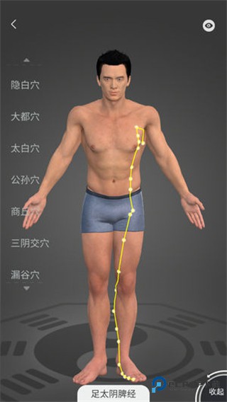 经脉图经脉宝2026升级版下载